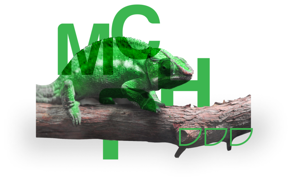 chameleon on a branch with MCPH